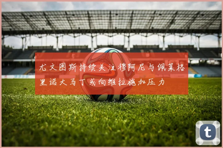 尤文图斯持续关注穆阿尼与佩莱格里诺大马丁或向维拉施加压力